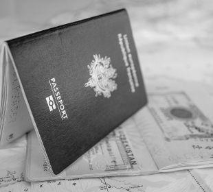 Global Talent Migration & Legal Collaboration